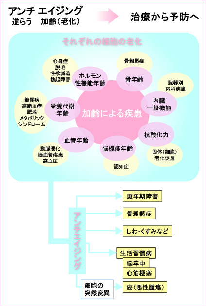 アンチエイジング アンチエイジング